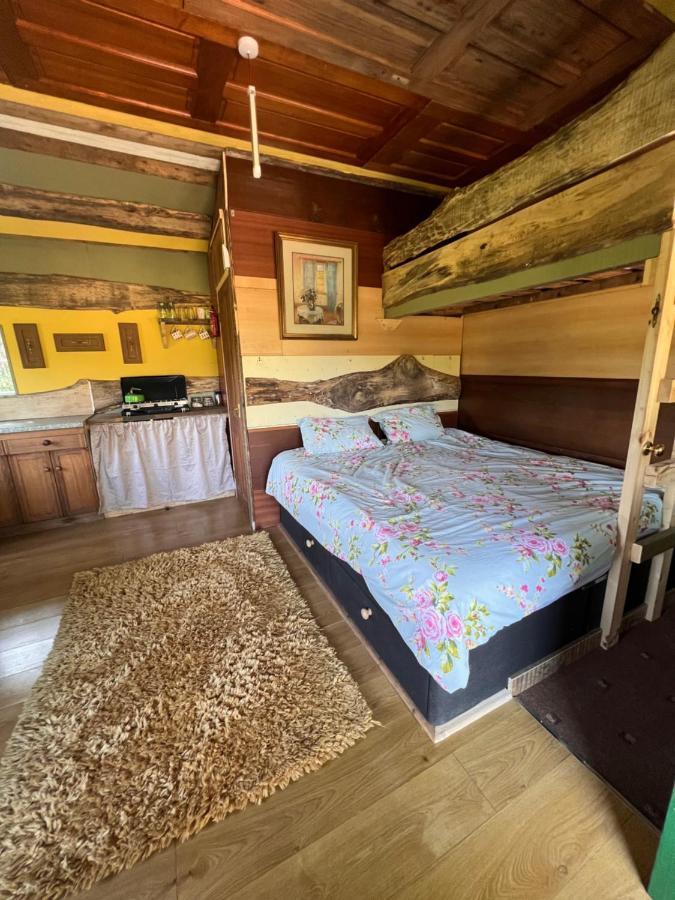Foxglove Eco Lodge 래넬리 외부 사진