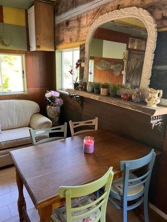 Foxglove Eco Lodge 래넬리 외부 사진