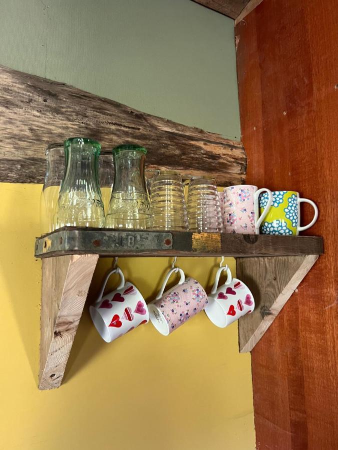 Foxglove Eco Lodge 래넬리 외부 사진