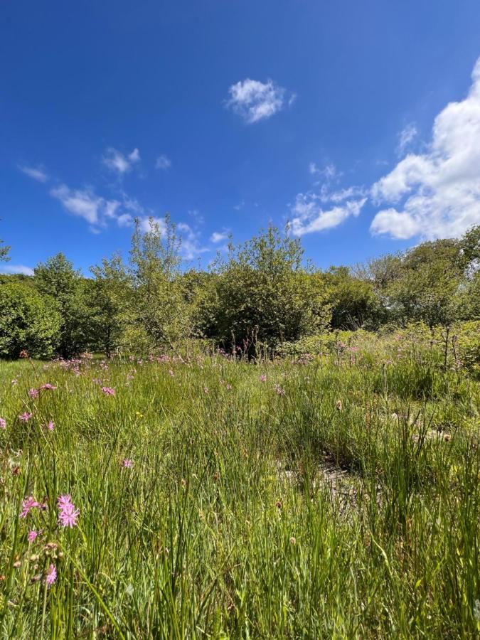 Foxglove Eco Lodge 래넬리 외부 사진