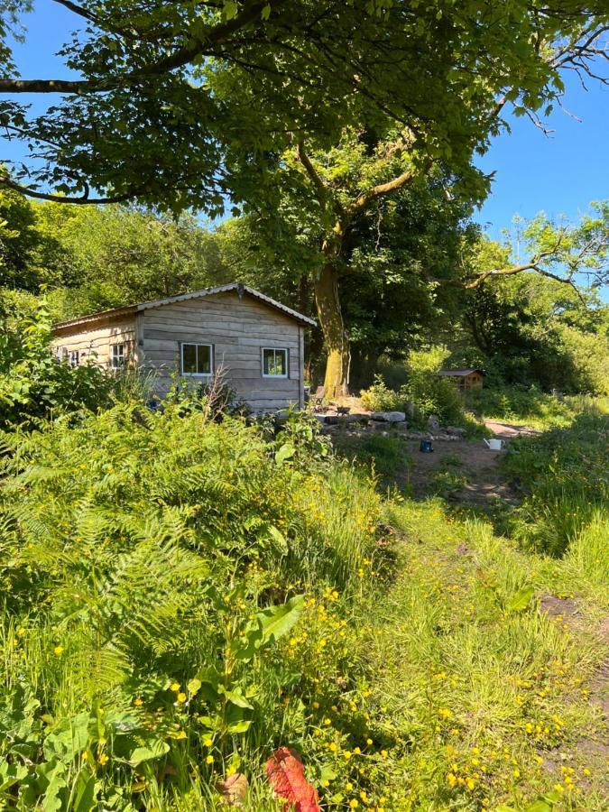 Foxglove Eco Lodge 래넬리 외부 사진