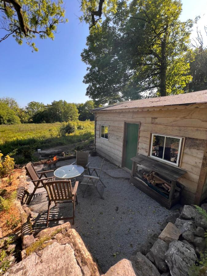 Foxglove Eco Lodge 래넬리 외부 사진