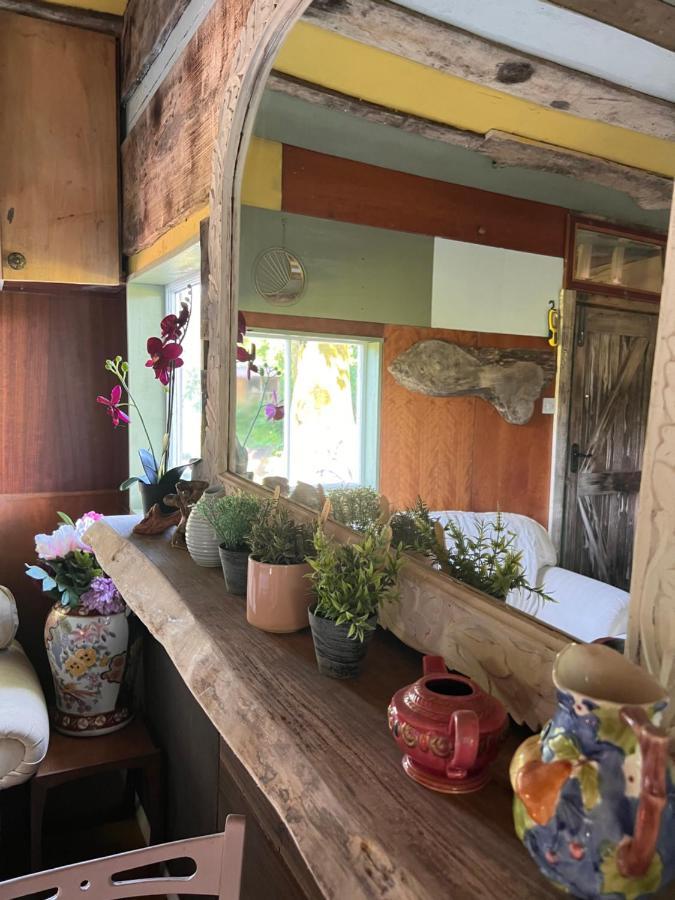 Foxglove Eco Lodge 래넬리 외부 사진